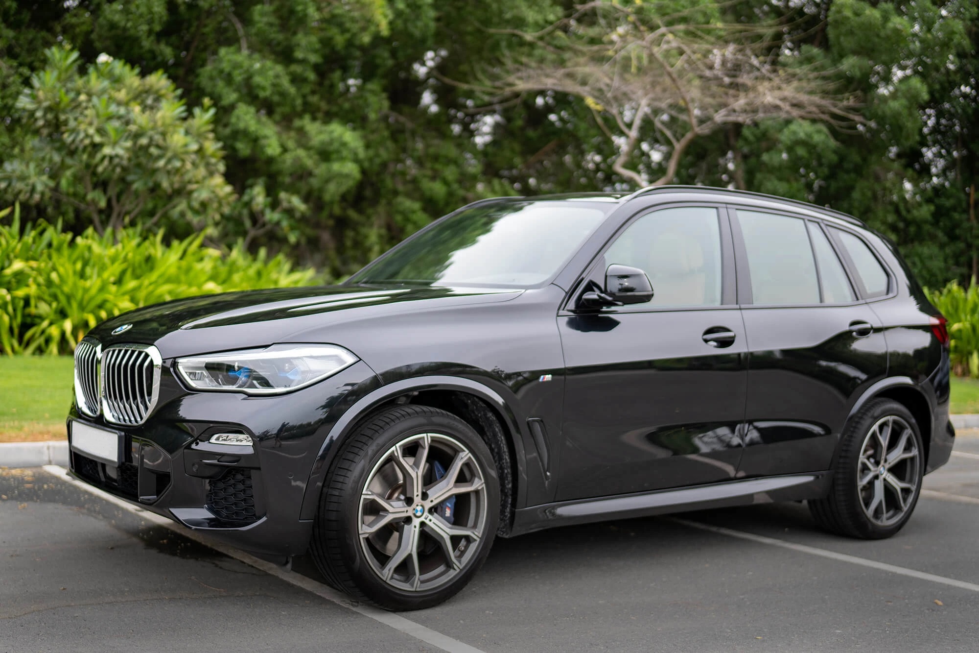 BMW X5 2023 (Black)